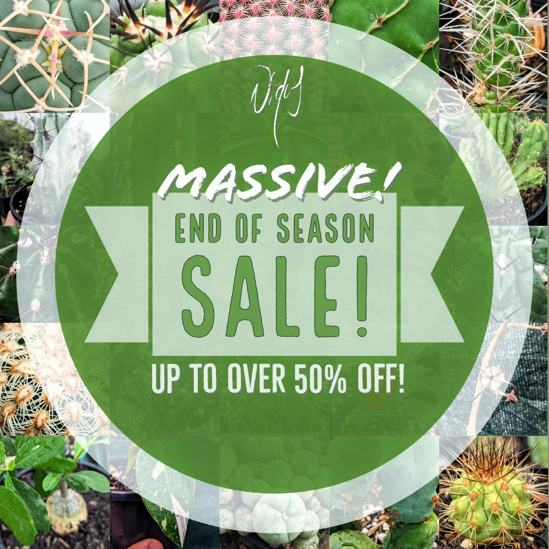 End of summer sale is now live!